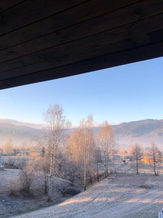Вілла Зозуля Mykulychyn Dış mekan fotoğraf